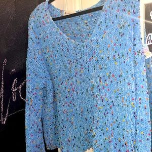 FUN BLUE The Impeccable Pig sweater